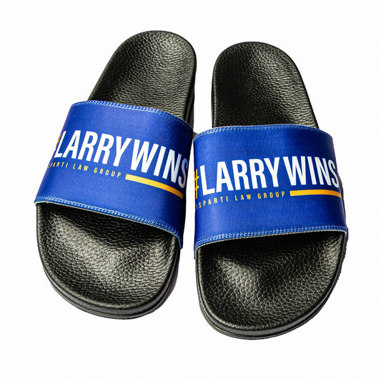 #LarryWins Slides